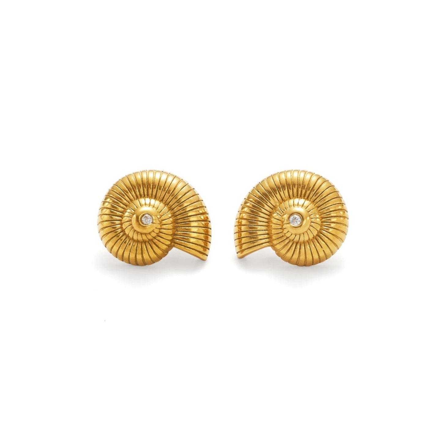 Conch Earrings