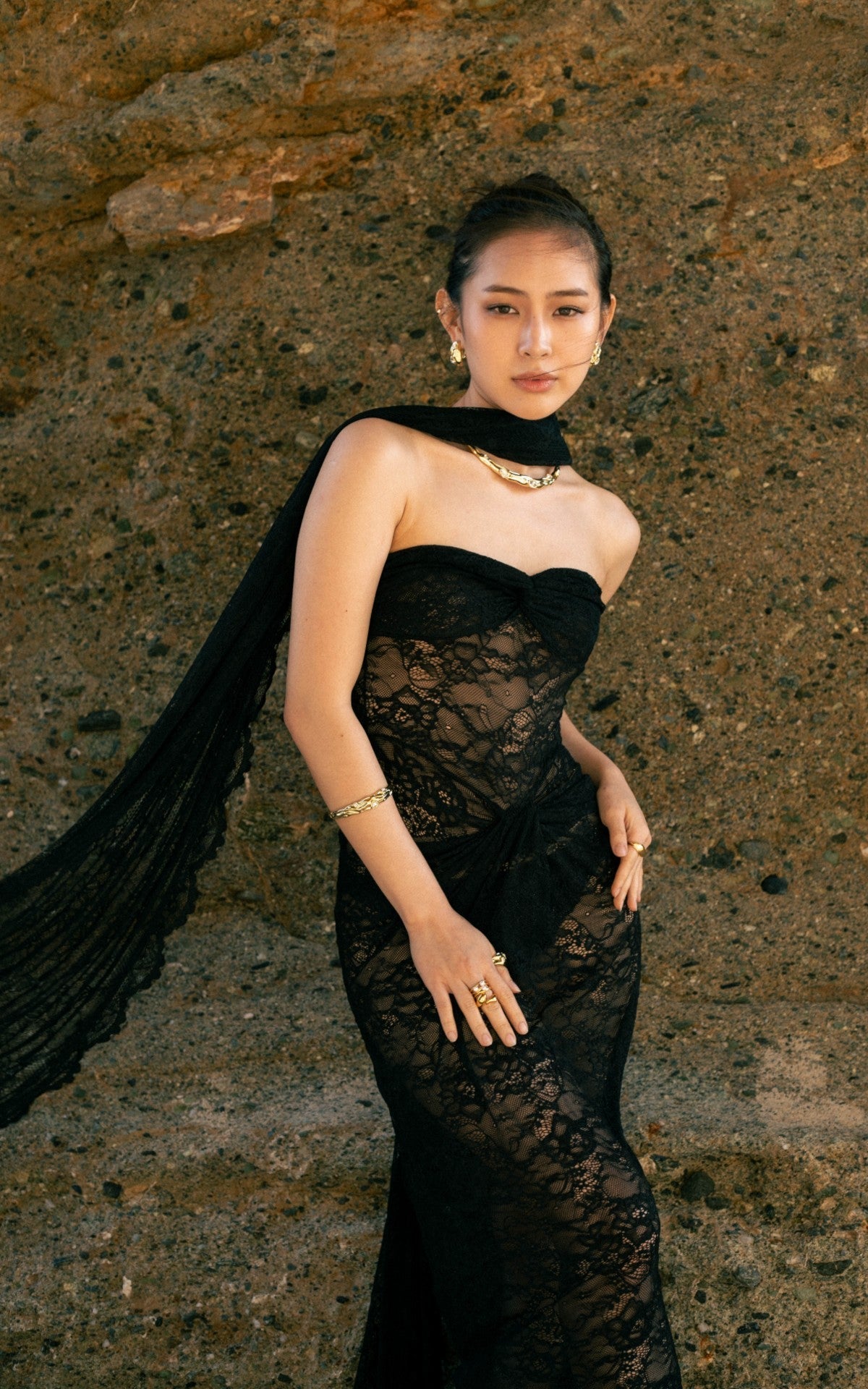 Selena Lace Dress